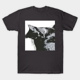 BLACK LIVE CAT T-Shirt